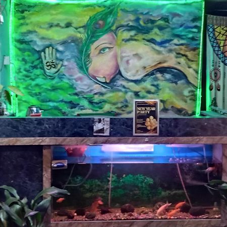 Big Tree Hostel Katmandou Extérieur photo