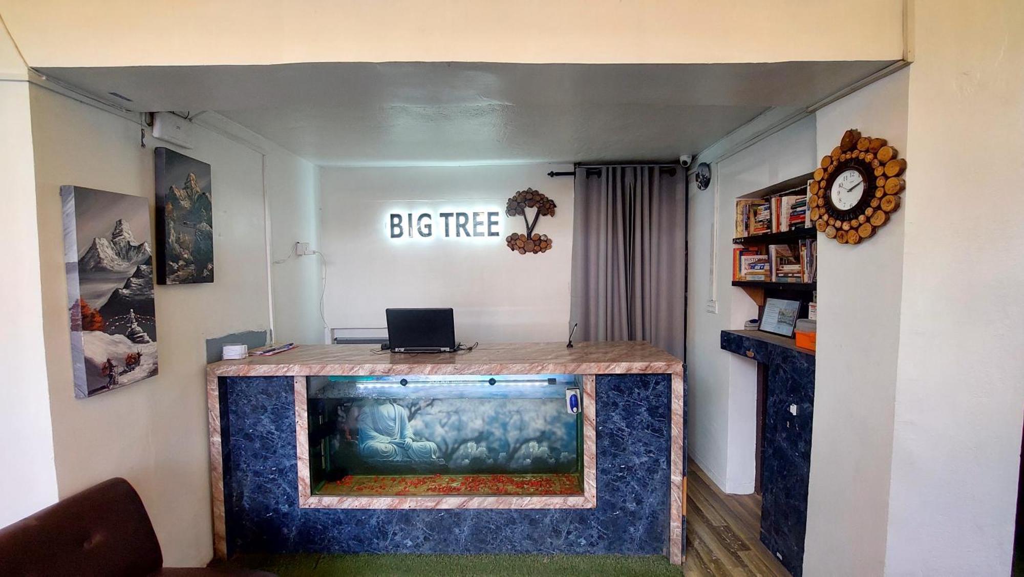 Big Tree Hostel Katmandou Extérieur photo