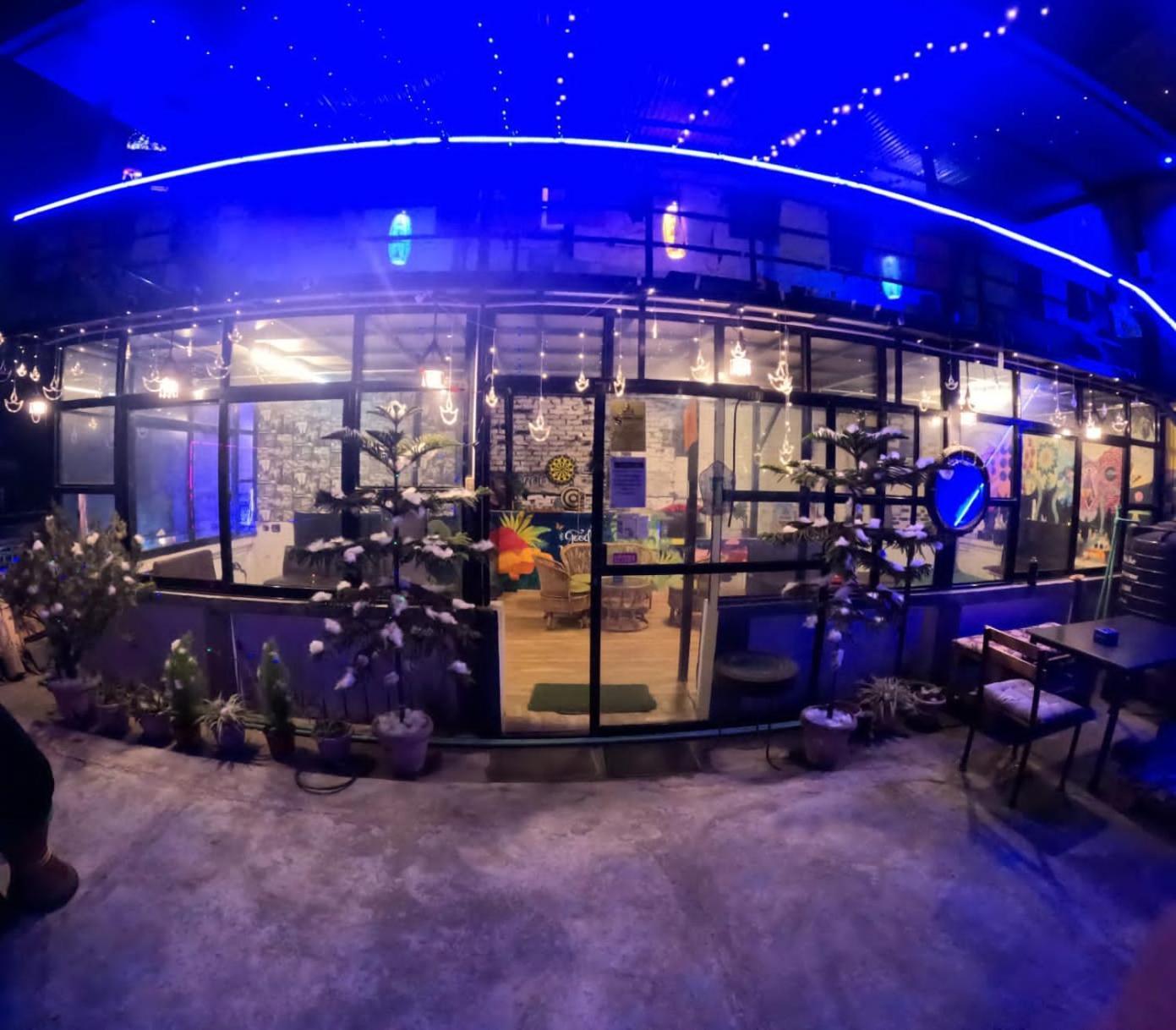 Big Tree Hostel Katmandou Extérieur photo