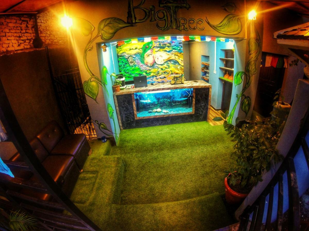 Big Tree Hostel Katmandou Extérieur photo