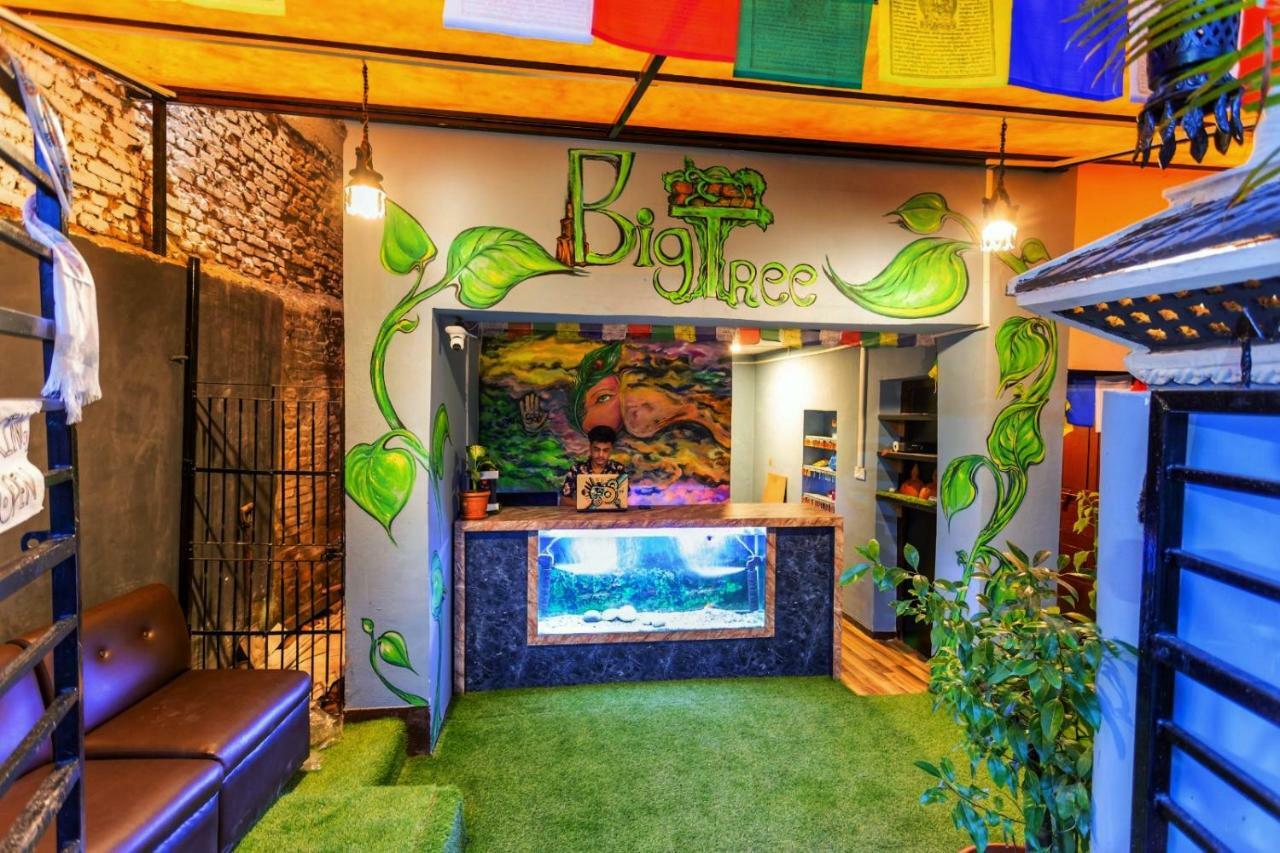 Big Tree Hostel Katmandou Extérieur photo