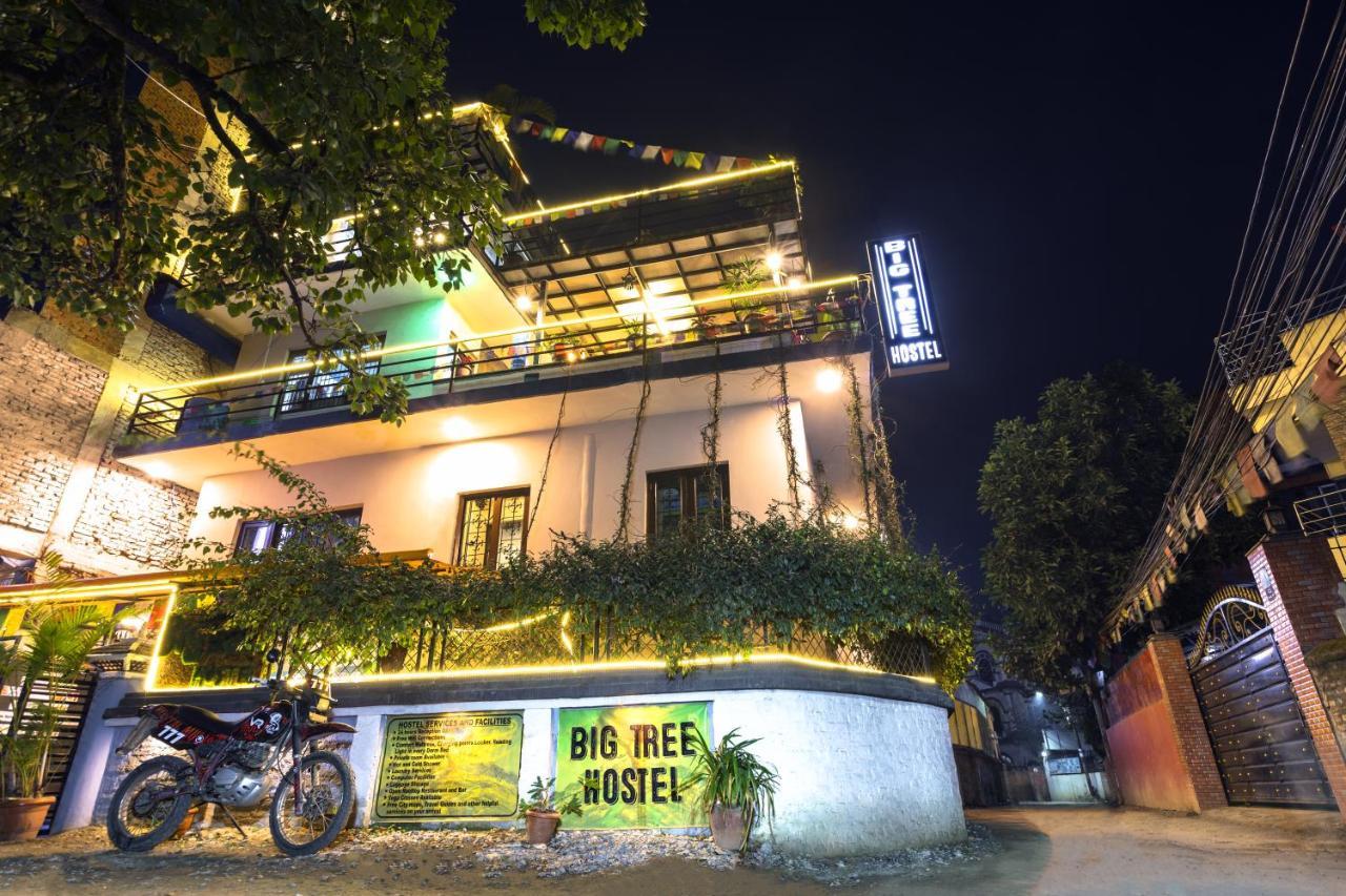 Big Tree Hostel Katmandou Extérieur photo